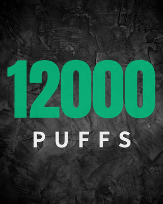12000 Puffs Vapes - HAPPYTRAIL 