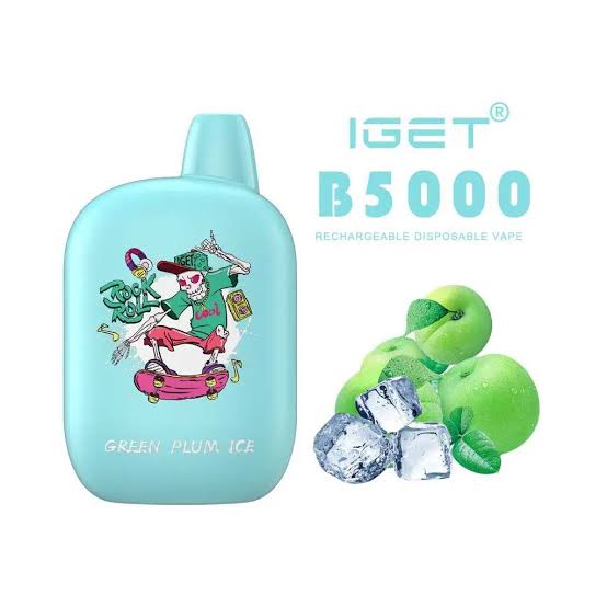 IGET B5000 Flavour- Green Plum Ice - 5000 Puffs - HAPPYTRAIL